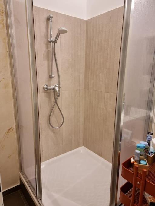 Sissi Royal Suite - Inner City 4 Bedroom Apartment Viena Exterior foto